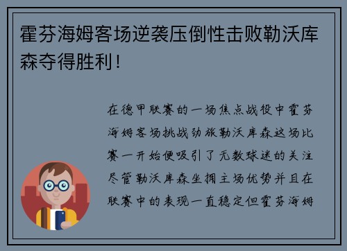 霍芬海姆客场逆袭压倒性击败勒沃库森夺得胜利！